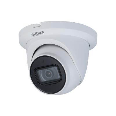 NET CAMERA 4MP IR EYEBALL...