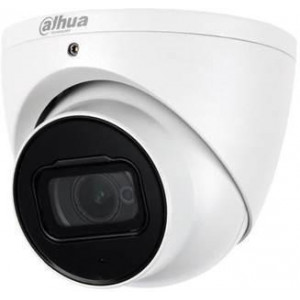 NET CAMERA 2MP IR EYEBALL...