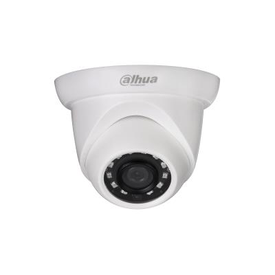 NET CAMERA 2MP IR EYEBALL...