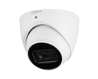 NET CAMERA 8MP IR EYEBALL...