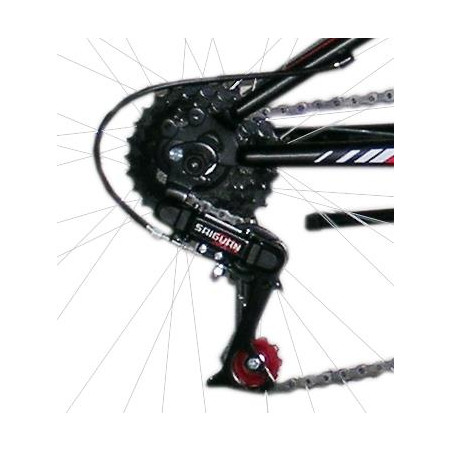 BICYCLE 26\
