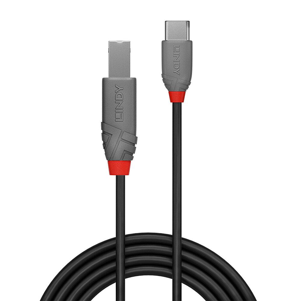 CABLE USB2 C-B 0.5M ANTHRA...