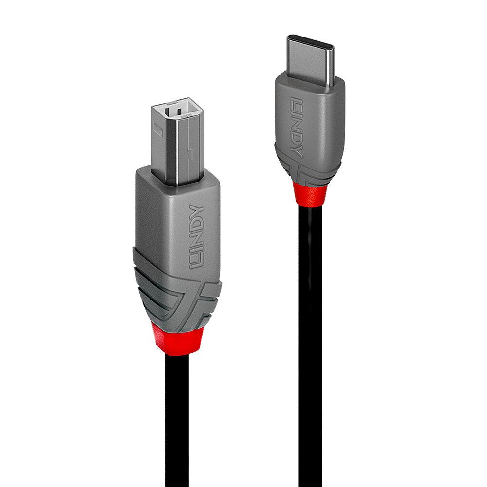 CABLE USB2 C-B 2M ANTHRA...
