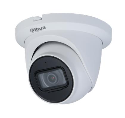 CAMERA HDCVI 2MP IR EYEBALL...