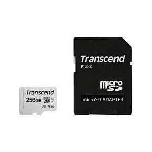 MEMORY MICRO SDXC 256GB W...